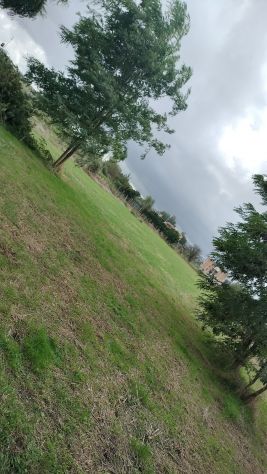 Terreno - Foto 3