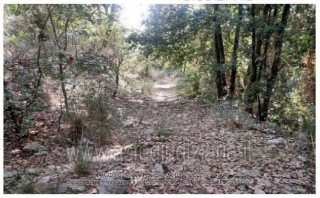 IMMOBILI-ALTRA CATEGORIA-LOCALITA' MONTE COLLE VACCARA