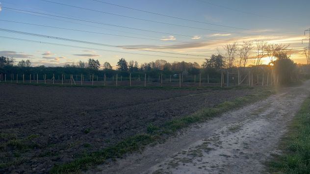 TERRENO AGRICOLO