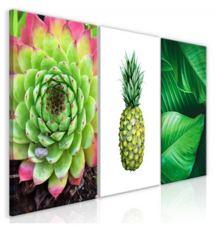 Quadro Ananas E Natura Cm. 120x60 - ARREDALACASA