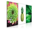 Quadro Ananas E Natura Cm. 120x60 - ARREDALACASA