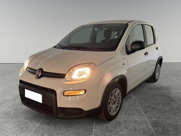 FIAT Panda Panda 1.0 firefly hybrid s&s 70cv 5p.ti