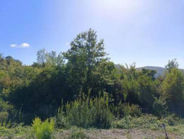 Immobile in asta di 2516 m² in vendita a Caselle in Pittari - Foto 4
