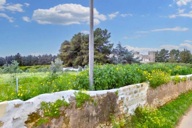 Immobile in asta di 27075 m² in vendita a Custonaci - Foto 13