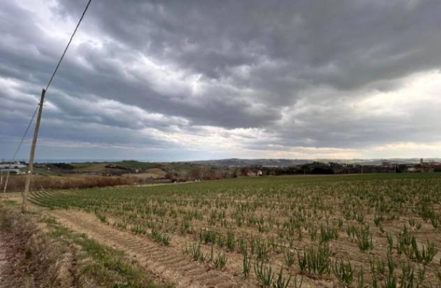 Immobile in asta di 15707 m² in vendita a Mondolfo - Foto 9