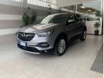 Opel Grandland X 1.6 diesel Ecotec Business PERFETTA