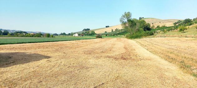 CASA DI CAMPAGNA immersa NEL VERDE con 6.200 mq. di TERRENO AGRICOLO - Foto 5