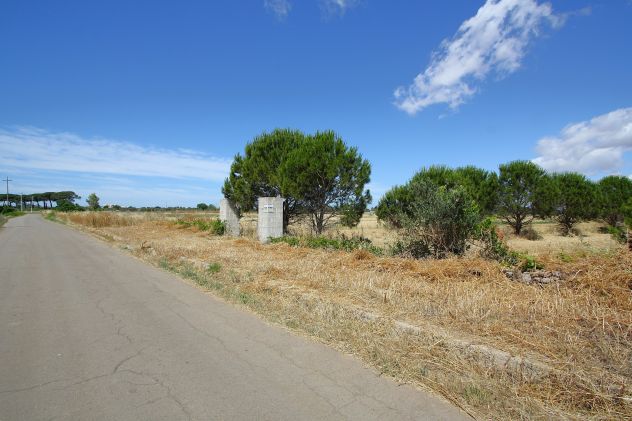 Terreno edificabile - Foto 2