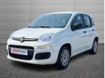 FIAT Panda 1.2 69cv S&S Easy