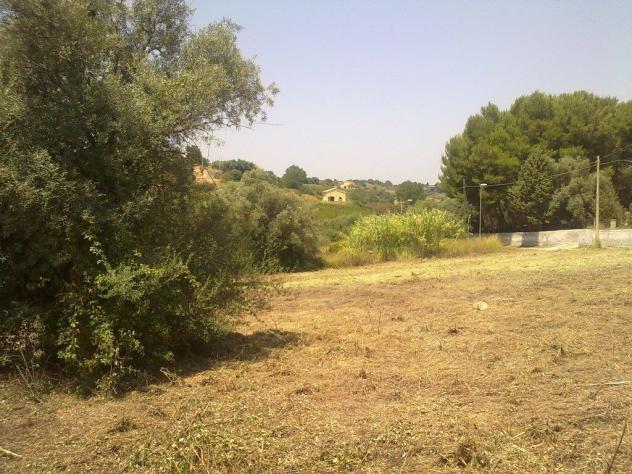 Seminativo in vendita a Siracusa - Foto 7