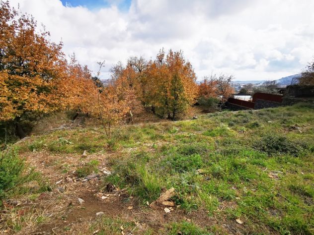 Terreno edificabile 2600 metri a Viagrande (CT) - Foto 10