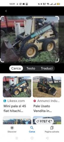 Caricatori su ruote FORD bobcat 45 L