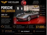 Porsche 911 Carrera cat