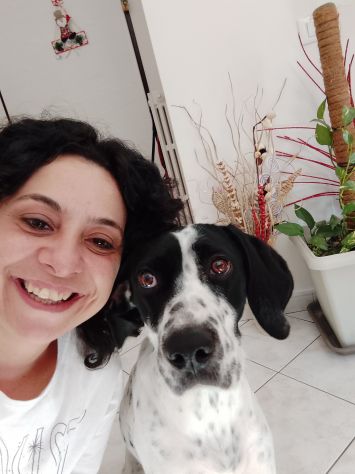 Dog sitter