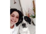 Dog sitter