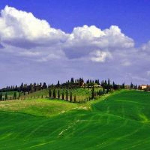 Casina di Cornia Societa' Agricola
