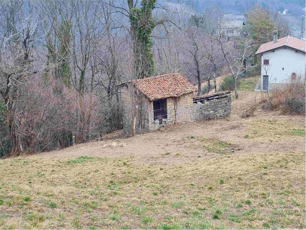 2239/2025 4 BG - Fabbricato rurale con stalla e fienile + terreni agricoli e boschivi - Foto 9