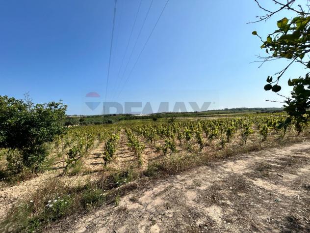 Terreno in vendita a Noto - Foto 2