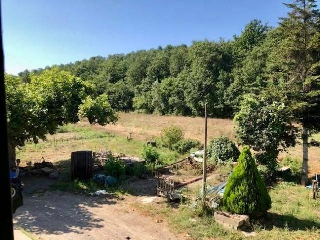 Rustico in vendita a Ghizzano - Peccioli 200 mq Rif: 1126891 - Foto 5
