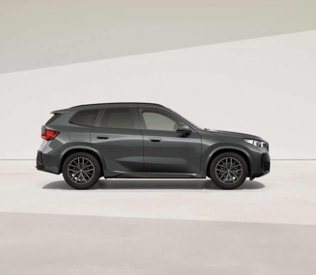 BMW X1 sDrive 18d Msport Ita UniPro Tetto rif. 23823743 - Foto 3