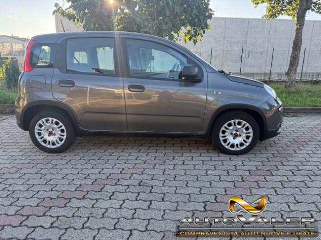 FIAT Panda 1.0 FireFly S&S Hybrid rif. 23948010 - Foto 5
