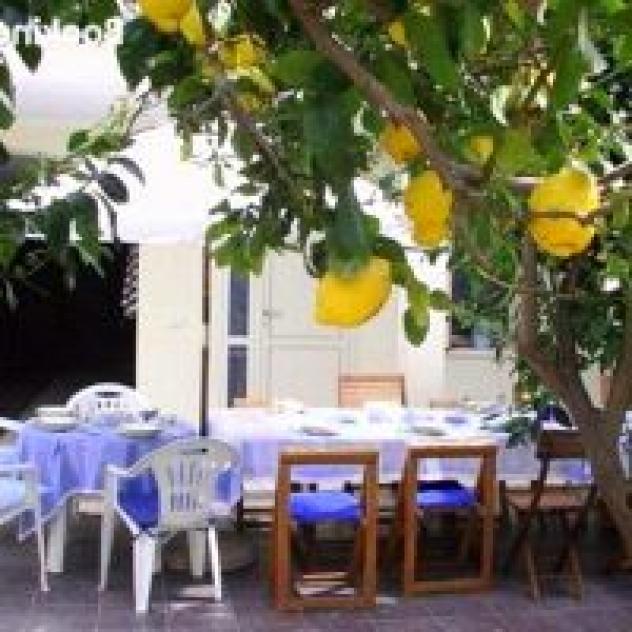 B&B Solanas