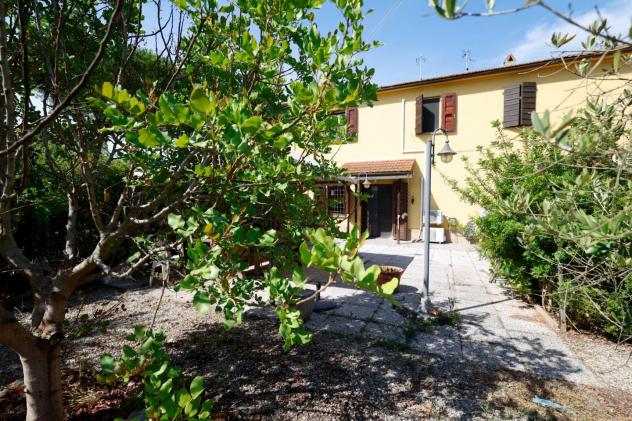 Terratetto in vendita a Fauglia 150 mq Rif: 1422618 - Foto 2