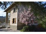 Vendesi quadrilocale con ampio giardino