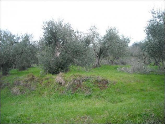 Trifamiliare in vendita a Monsummano Terme - Foto 20