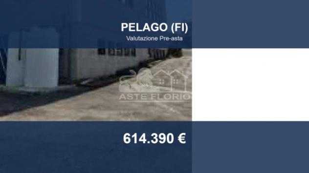 Immobile in asta di 2486 m² in vendita a Pelago