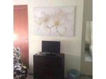 B&B Bernini 20