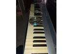 Master Mura E-MU 49+ Expander Musicale