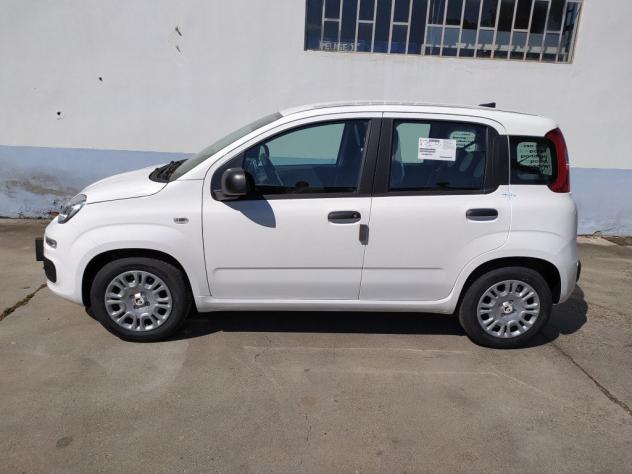 FIAT Pandina 65 Pandina hybrid Icon Promo CBC 5 - Foto 3