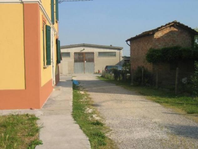 Capannone a Baricella - Rif. LBBARICEL - Foto 5