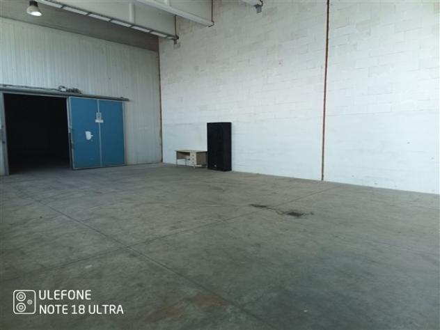 USINI periferia CAPANNONE di 400mq circa com cellafrigo e ufficio - Foto 7