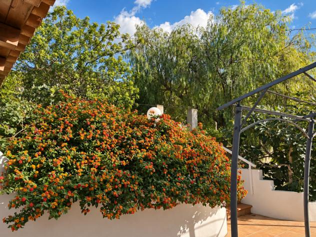 Villa o villino - Chiaramonte Gulfi . Rif.: Cod. rif 3387555VRG - Foto 7