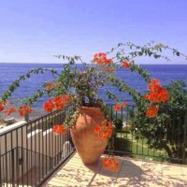 B&B Villa Addaura - Foto 4