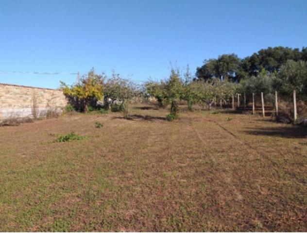 Immobile in asta di 1826 m² in vendita a Nettuno