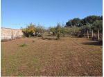 Immobile in asta di 1826 m² in vendita a Nettuno