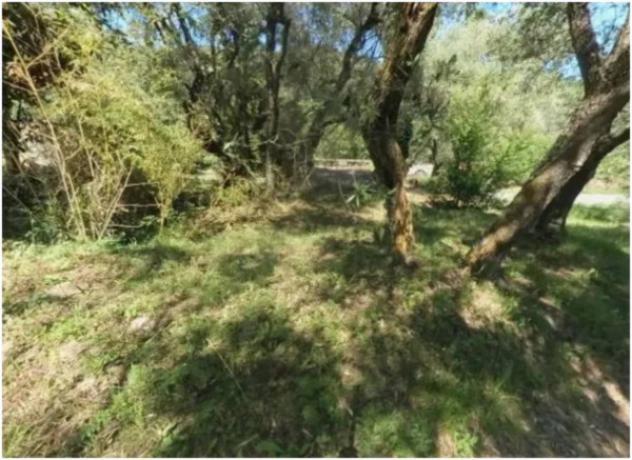 Immobile in asta di 2610 m² in vendita a Pietrabruna - Foto 9