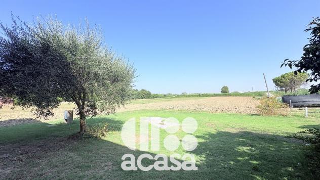CASALE CON PERTINENZE - Foto 13