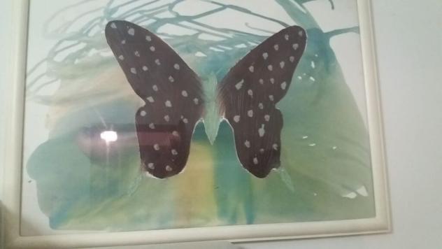 Quadro con cornice in legno