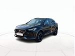 CUPRA Formentor 1.5 tsi 150cv dsg rif. 23726939