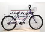 Biciclette da Bambina