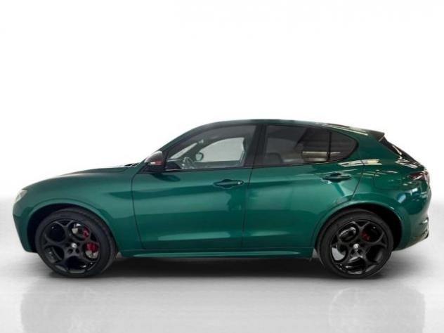 ALFA ROMEO Stelvio 2.2 Turbodiesel 210 CV AT8 Q4 Tributo Italiano rif. 21416672 - Foto 3