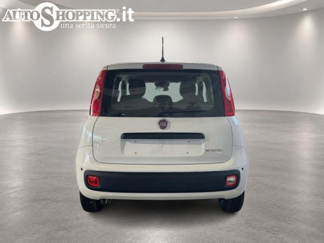 FIAT Pandina Panda III 1.0 firefly hybrid Icon s&s 65cv 5p.ti - Foto 5