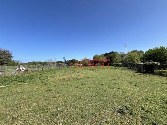 Terreno di 2300 mq in località Mola Vecchia - Foto 10