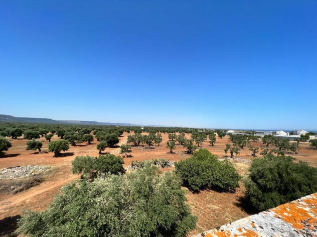 Casale in vendita a Ostuni - Foto 5