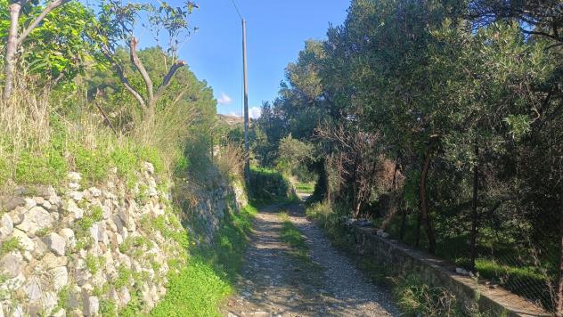Terreno Agricolo - Messina . Rif.: Cod. rif 3302742VCG - Foto 2