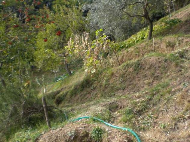 cind villab 350 - Casa singola a Villa Basilica - Foto 7